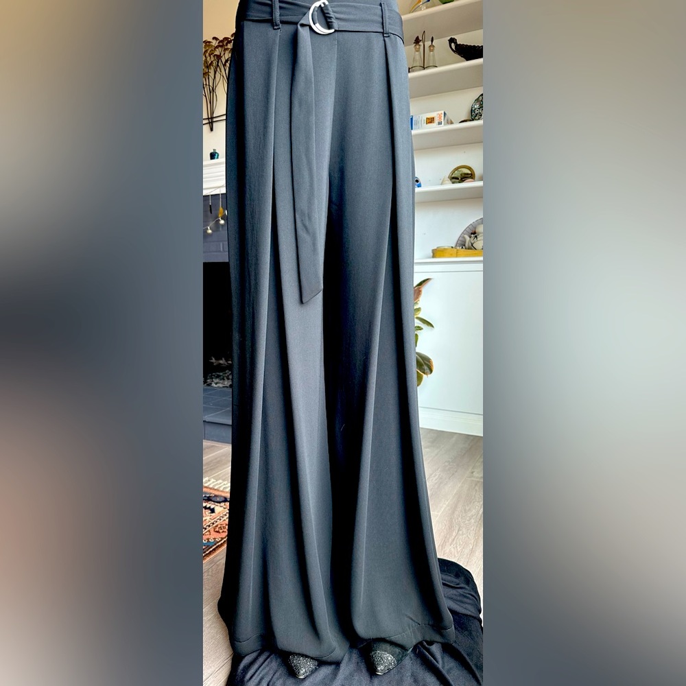 ZARA Flawing Pleated pants